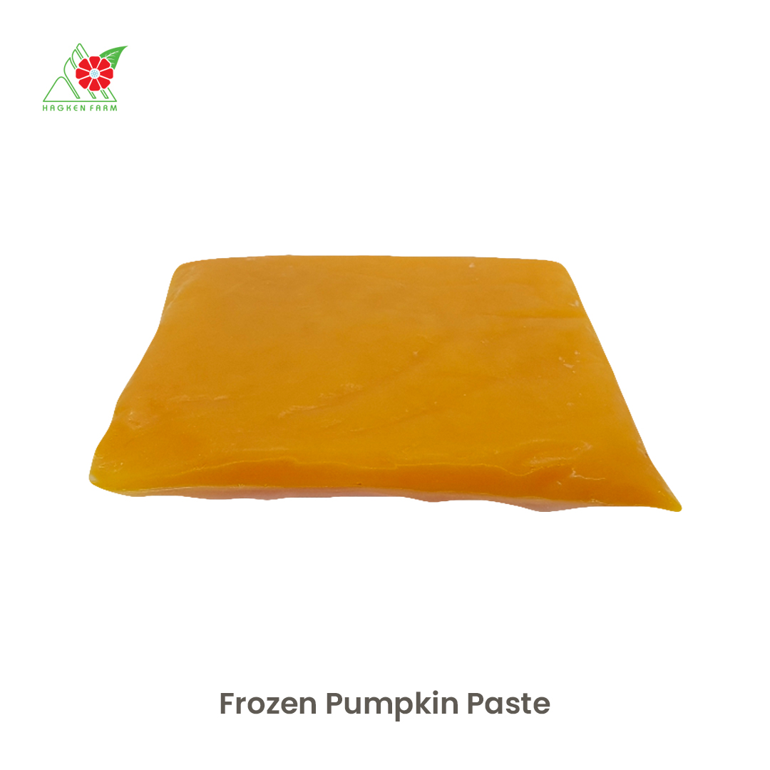 Frozen Pumpkin Paste